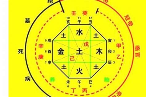 八字命盤五行|生辰八字算命、五行喜用神查詢（免費測算）